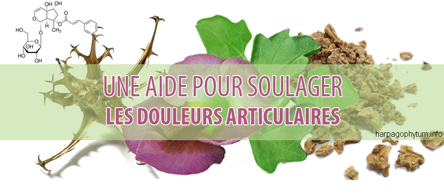 couple de seniors heureux grâce à l'harpagophytum