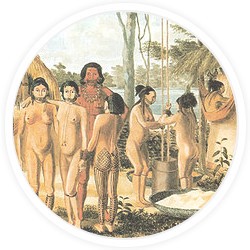 Histoire de l'harpagophytum