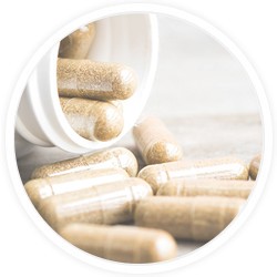 posologie harpagophytum